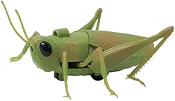 レトロ　新品　昆虫　バッタ　二匹　セットのみ 31O4NIxt+TL._AC_UF350,